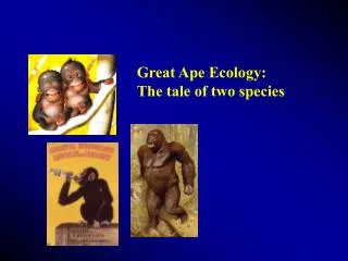 Great Ape Ecology: The tale of two species