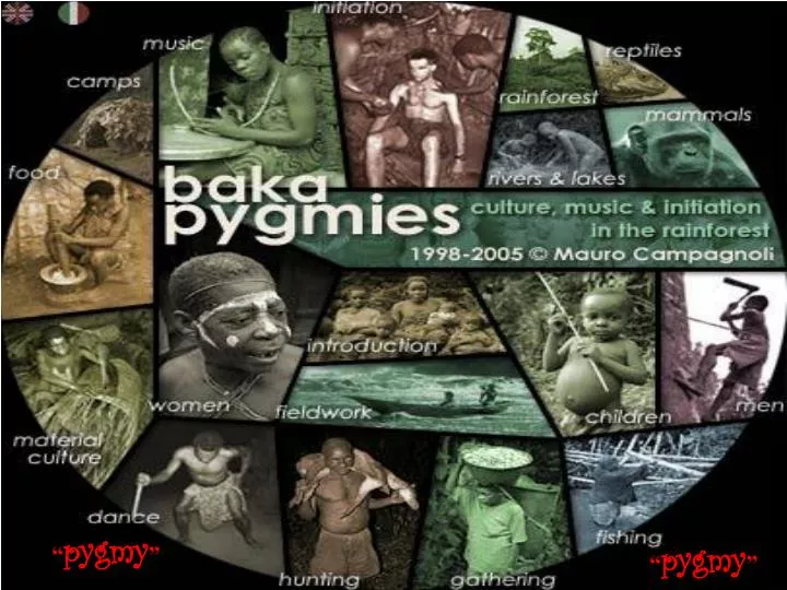 pygmy