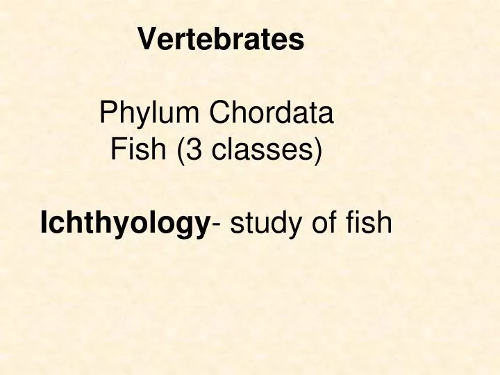 vertebrates phylum chordata fish 3 classes ichthyology study of fish