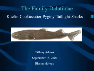 The Family Dalatiidae