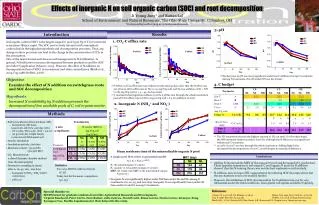 Mean residence time of the mineralizable organic N pool