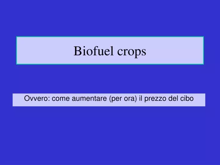 biofuel crops