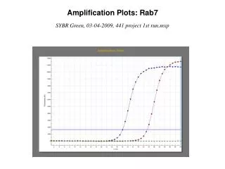 Amplification Plots: Rab7