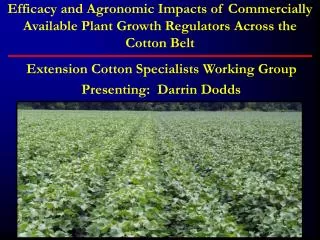 Extension Cotton Specialists Working Group Presenting: Darrin Dodds