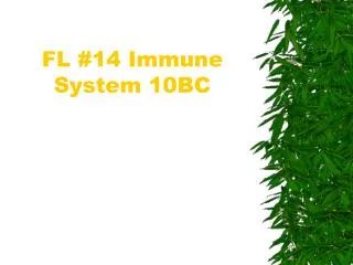 FL #14 Immune System 10BC
