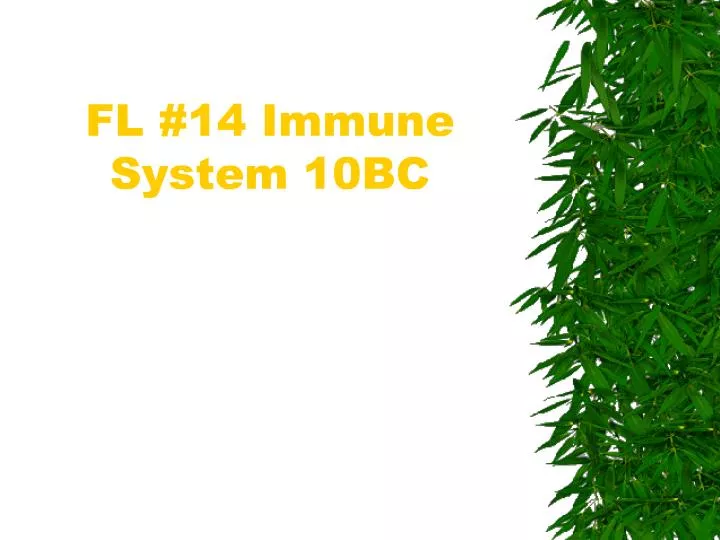 fl 14 immune system 10bc