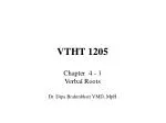 VTHT 1205 - slide 1