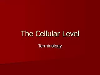 The Cellular Level