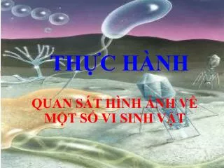 th c h nh