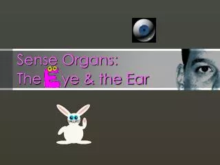 Sense Organs: The ye &amp; the Ear
