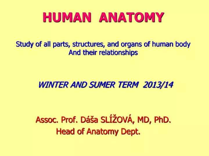 human anatomy study of all parts structures and organs of human body and their relationships