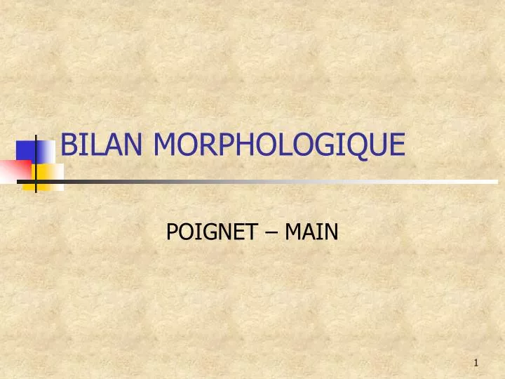 bilan morphologique
