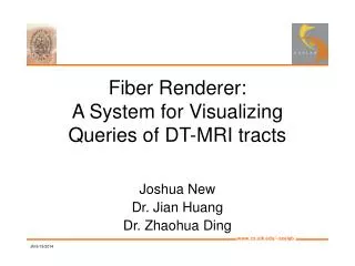Fiber Renderer: A System for Visualizing Queries of DT-MRI tracts