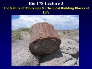 Bio 178 Lecture 3
