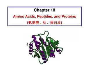 Chapter 18 Amino Acids, Peptides, and Proteins ( ????????? )