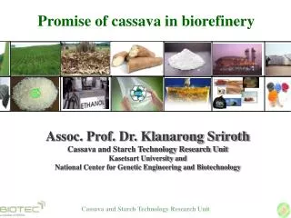 Promise of cassava in biorefinery