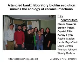 A tangled bank: laboratory biofilm evolution mimics the ecology of chronic infections
