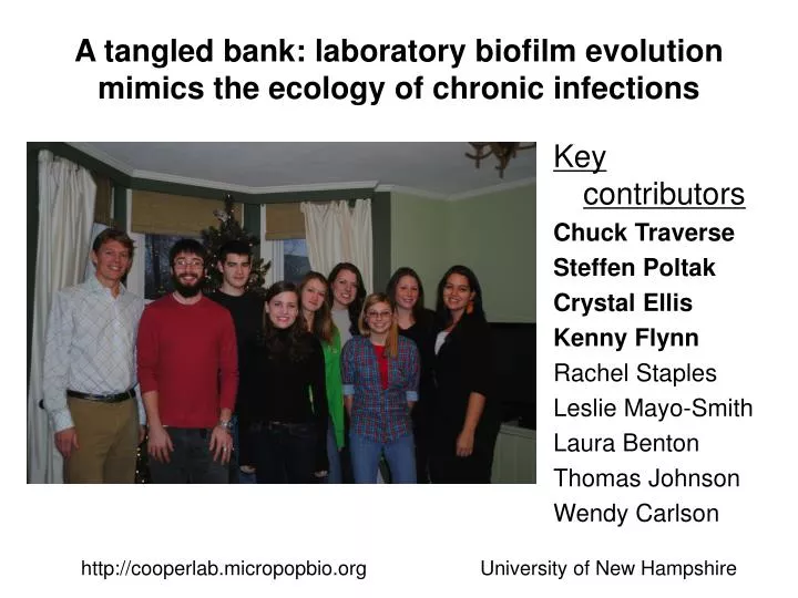 a tangled bank laboratory biofilm evolution mimics the ecology of chronic infections