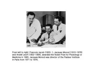 From left to right: Francois Jacob (1920- ), Jacques Monod (1910-1976)