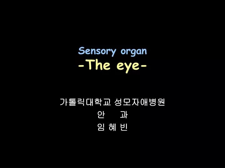 sensory organ the eye