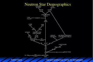 Neutron Star Demographics