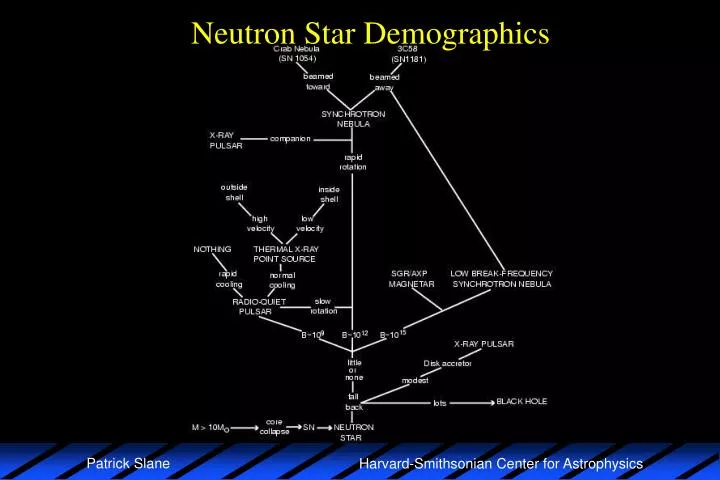 neutron star demographics
