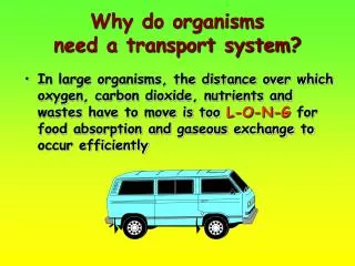 Why do organisms need a transport system?