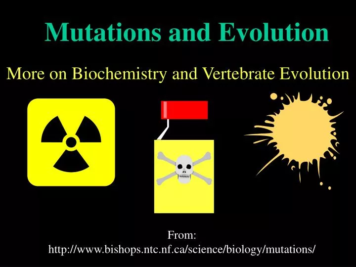 mutations and evolution