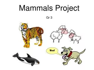 Mammals Project