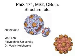 PhiX 174, MS2, QBeta: Structure, etc.
