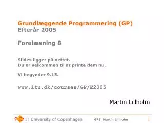 martin lillholm
