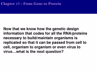 Chapter 17 - From Gene to Protein