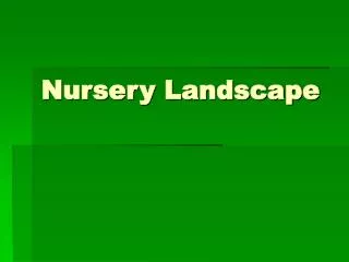 Nursery Landscape