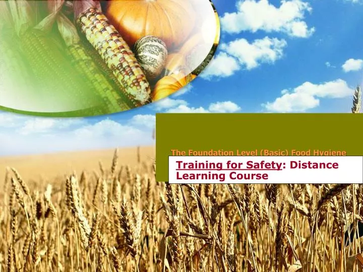 training for safety distance learning course