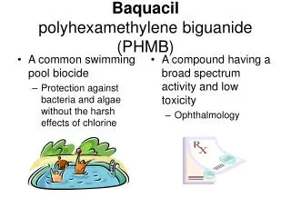 Baquacil polyhexamethylene biguanide (PHMB)