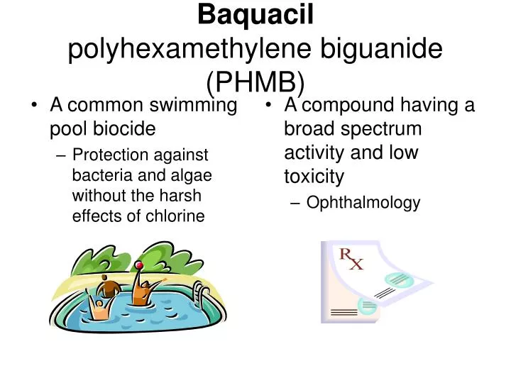 baquacil polyhexamethylene biguanide phmb