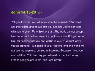 John 14:15-20 NIV