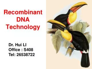 recombinant dna technology