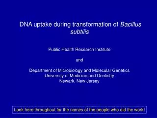 DNA uptake during transformation of Bacillus subtilis
