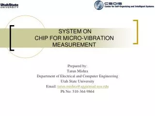 SYSTEM ON CHIP FOR MICRO-VIBRATION MEASUREMENT