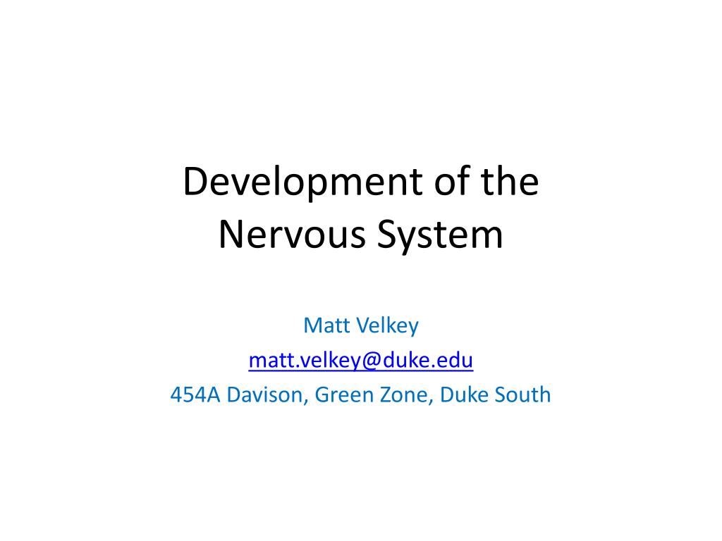 PPT - Development of the Nervous System PowerPoint Presentation, free ...