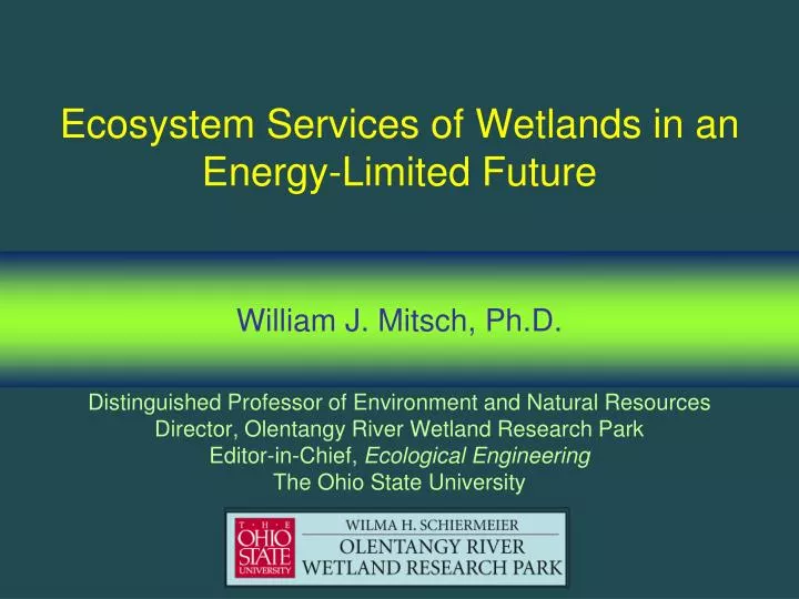 ecosystem services of wetlands in an energy limited future