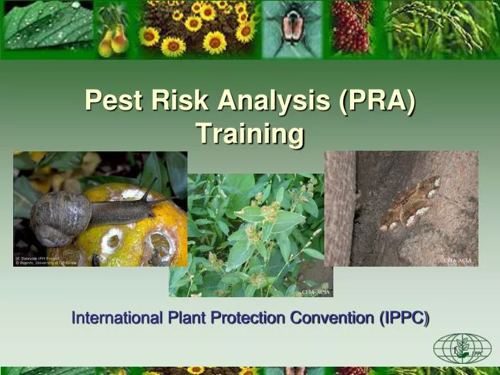 pest risk analysis pra training