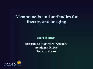 Membrane-bound antibodies for therapy and imaging