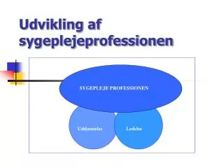 udvikling af sygeplejeprofessionen