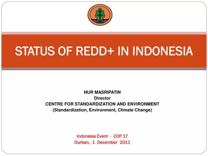 status of redd in indonesia