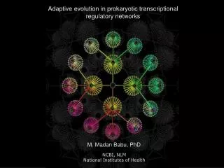 Adaptive evolution in prokaryotic transcriptional regulatory networks