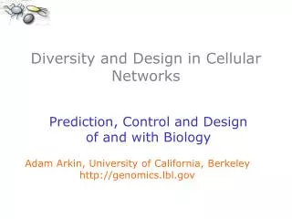 Diversity and Design in Cellular Networks