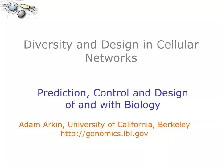 diversity and design in cellular networks