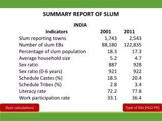 SUMMARY REPORT OF SLUM